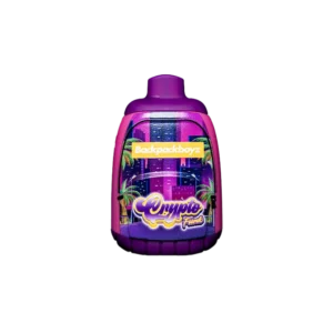 backpack boyz 2G disposable