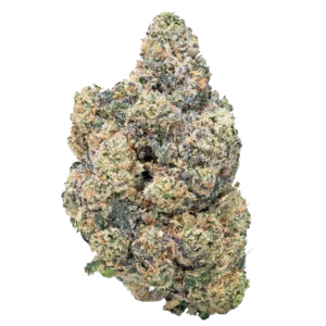 Blue Guava Strain