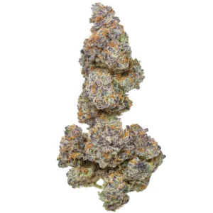 Permanent Chimera Strain