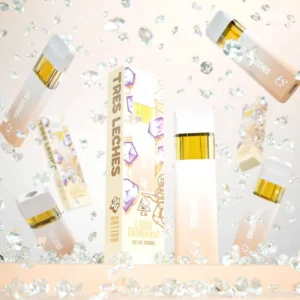 Favorites 2G Disposable